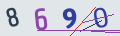 verifycode